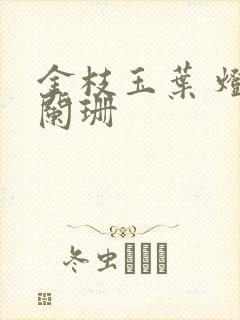 金枝玉叶 灯火阑珊