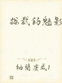 总裁的魅影情人