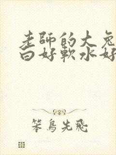 老师的大兔子好白好软水好多