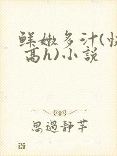 鲜嫩多汁(快穿 高h)小说