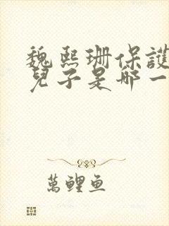 魏熙珊保护萧峥儿子是哪一集