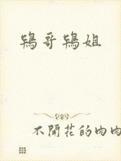 鸨哥鸨姐