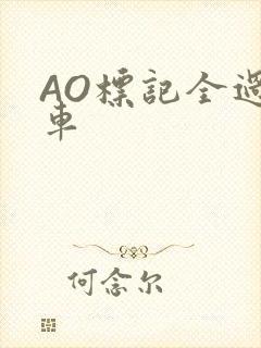 AO标记全过程车