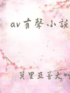 av有声小说