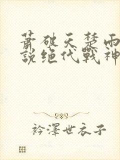 萧破天楚雨馨小说绝代战神