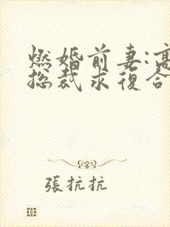 燃婚前妻:高冷总裁求复合