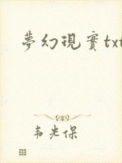 梦幻现实txt