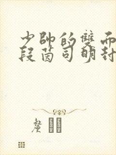 少帅的双面宠妻段茵司明封免费