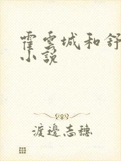 霍云城和舒情的小说