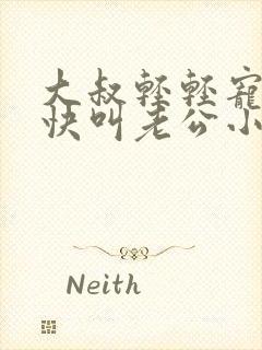 大叔轻轻宠宝贝快叫老公小说