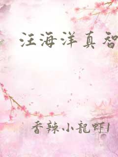 汪海洋真智师太