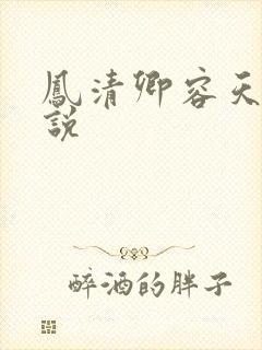 凤清卿容天凌小说