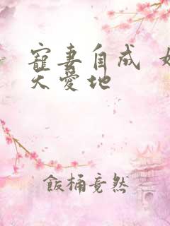 宠妻自成  婚天爱地
