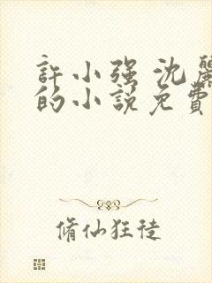 许小强 沈丽娟的小说免费阅读