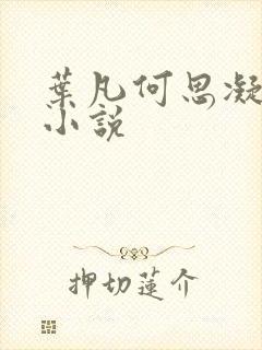 叶凡何思凝七月小说