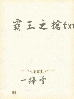 霸王之枪txt