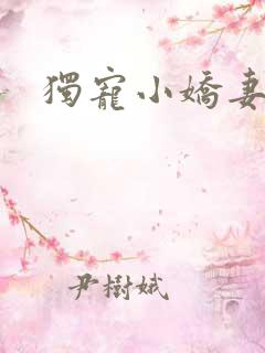 独宠小娇妻