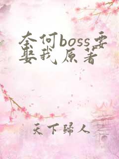 奈何boss要娶我原著