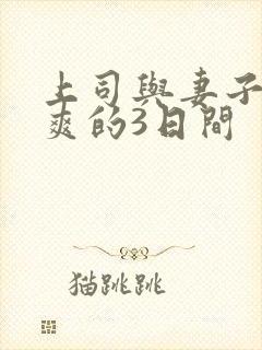 上司与妻子干到爽的3日间