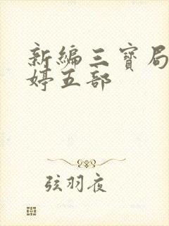 新编三宝局长许婷五部