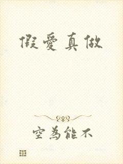 假爱真做