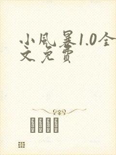 小风暴1.0全文免费