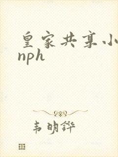 皇家共享小公主nph