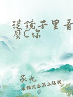 从镜子里看我怎么C你