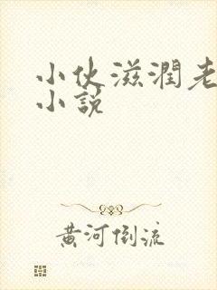 小伙滋润老女人小说