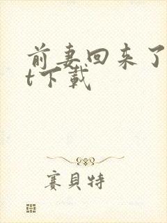 前妻回来了txt下载