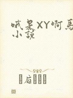 哦是XY啊马仔小说