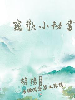 窃欢小秘书