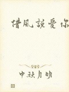 借风说爱你