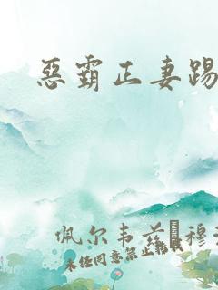 恶霸正妻踢娇妾