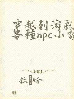 穿越到游戏里和各种npc小说