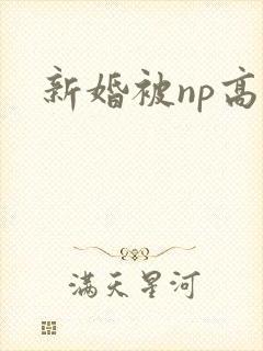 新婚被np高h