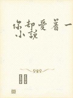 你却爱着一个他 小说