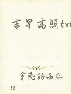 吉星高照txt