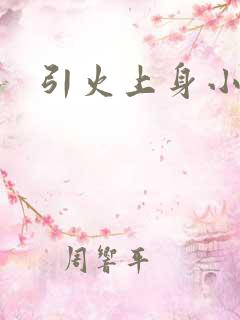 引火上身小说