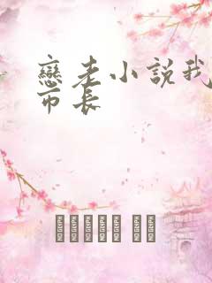 恋老小说我和老市长