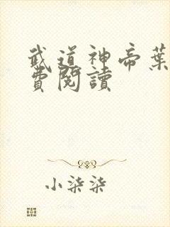 武道神帝叶辰免费阅读