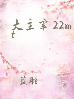 大主宰 22mt