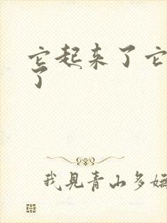 它起来了它想你了