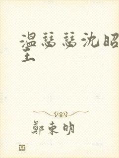 温瑟瑟沈昭摄政王