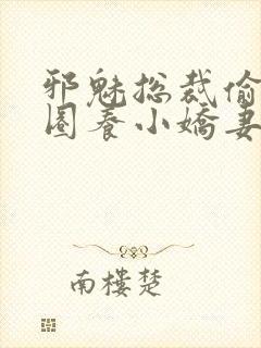 邪魅总裁偷心计圈养小娇妻