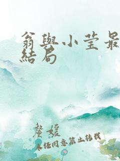 翁与小莹最新大结局