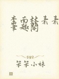 李南林素素小说笔趣阁