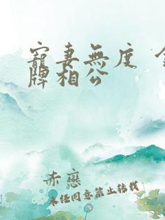 宠妻无度  金牌相公