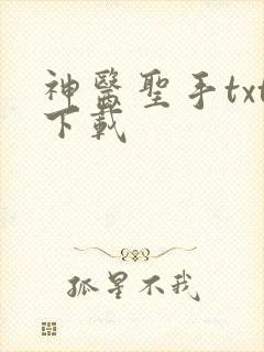 神医圣手txt下载