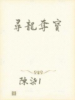 寻龙夺宝